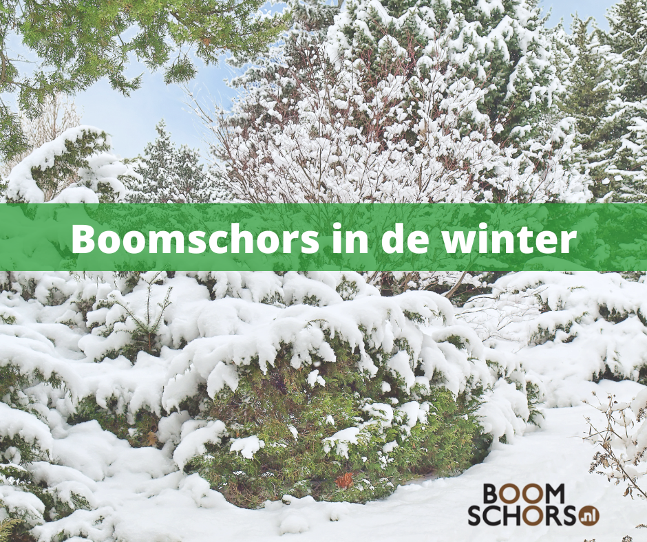 Boomschors in de winter - bescherming voor uw tuin